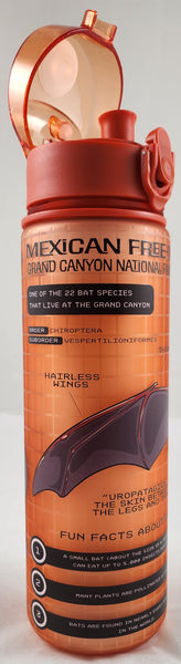 Bats of the Grand Canyon Orange Water Bottle