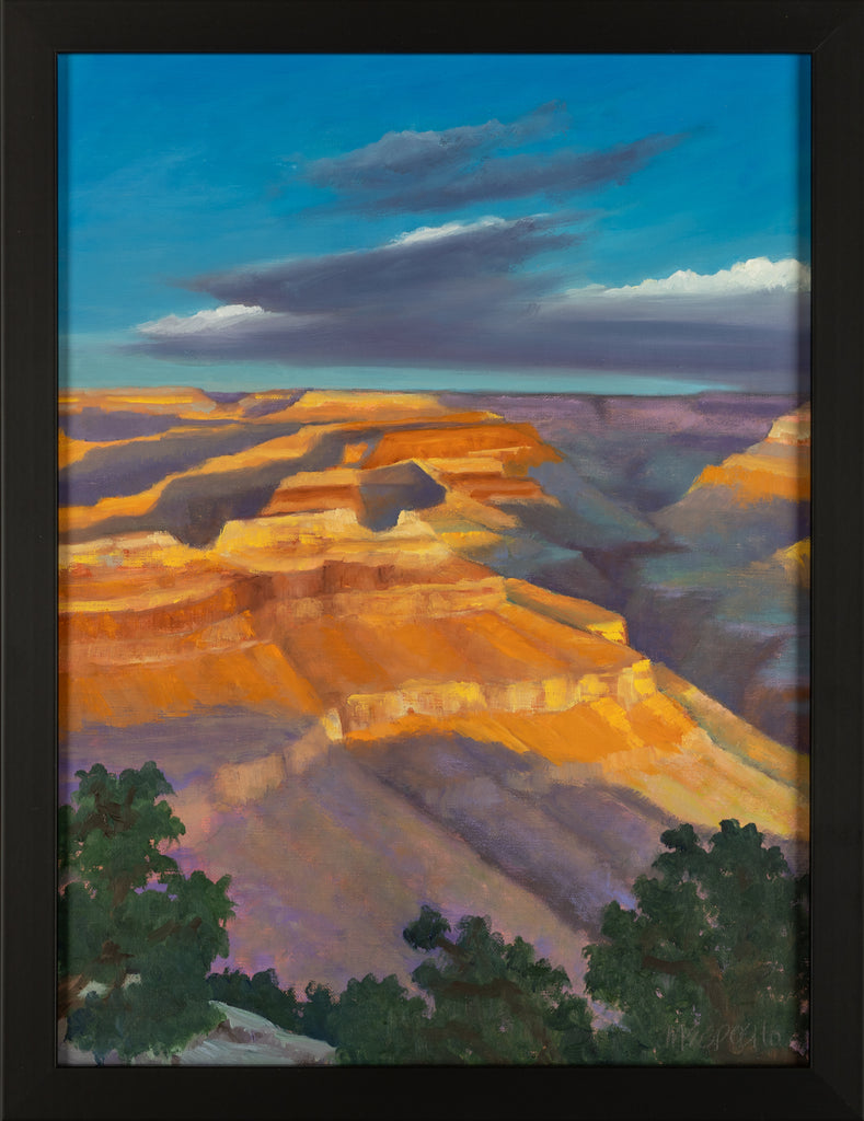 Monica Esposito-Mann, Shadows on the South Rim