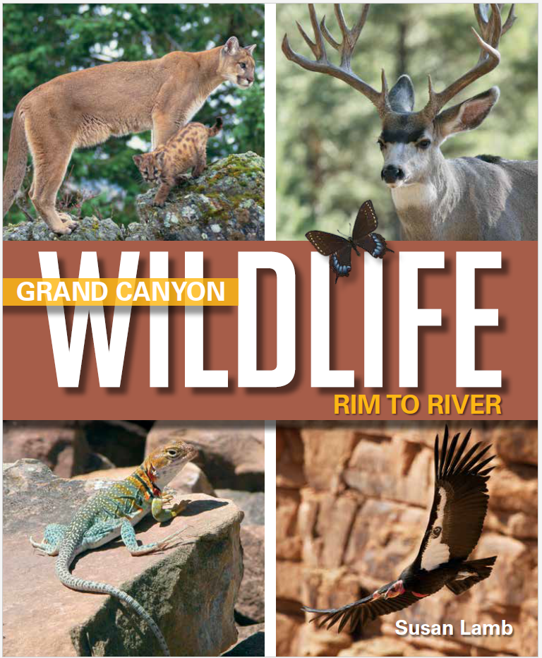 Grand Canyon Wildlife - Rim to River