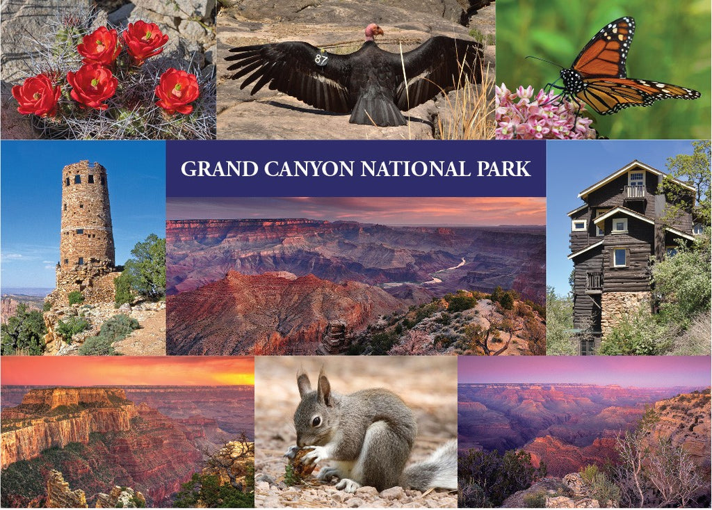 Grand Canyon National Park Sticker Postcard