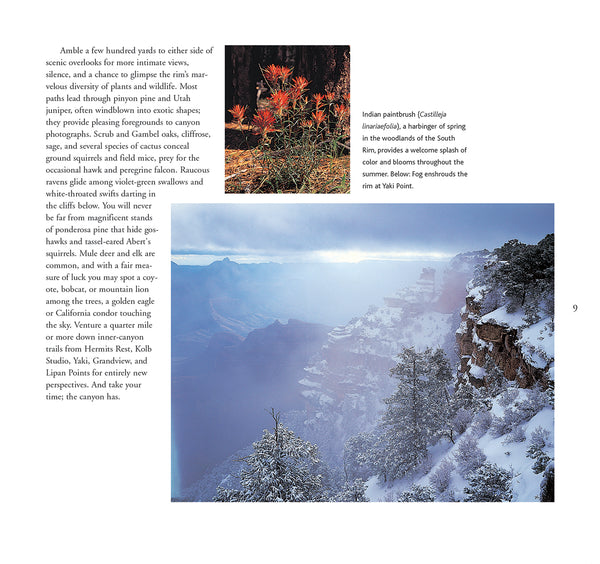Along the Rim - A Guide to Grand Canyon's South Rim from Hermits Rest to Desert View