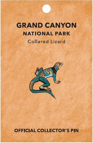 Collared Lizard Pin
