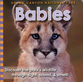 Grand Canyon Babies