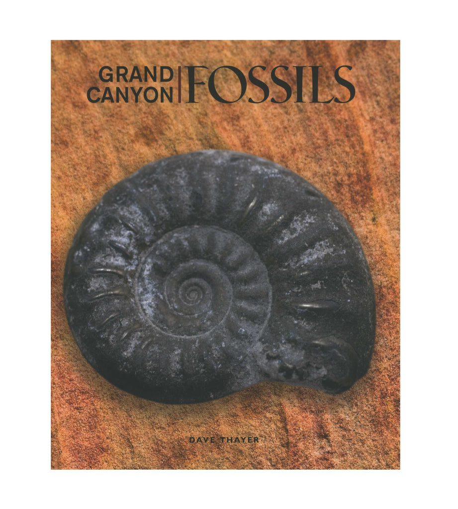 An Introduction to Grand Canyon Fossils