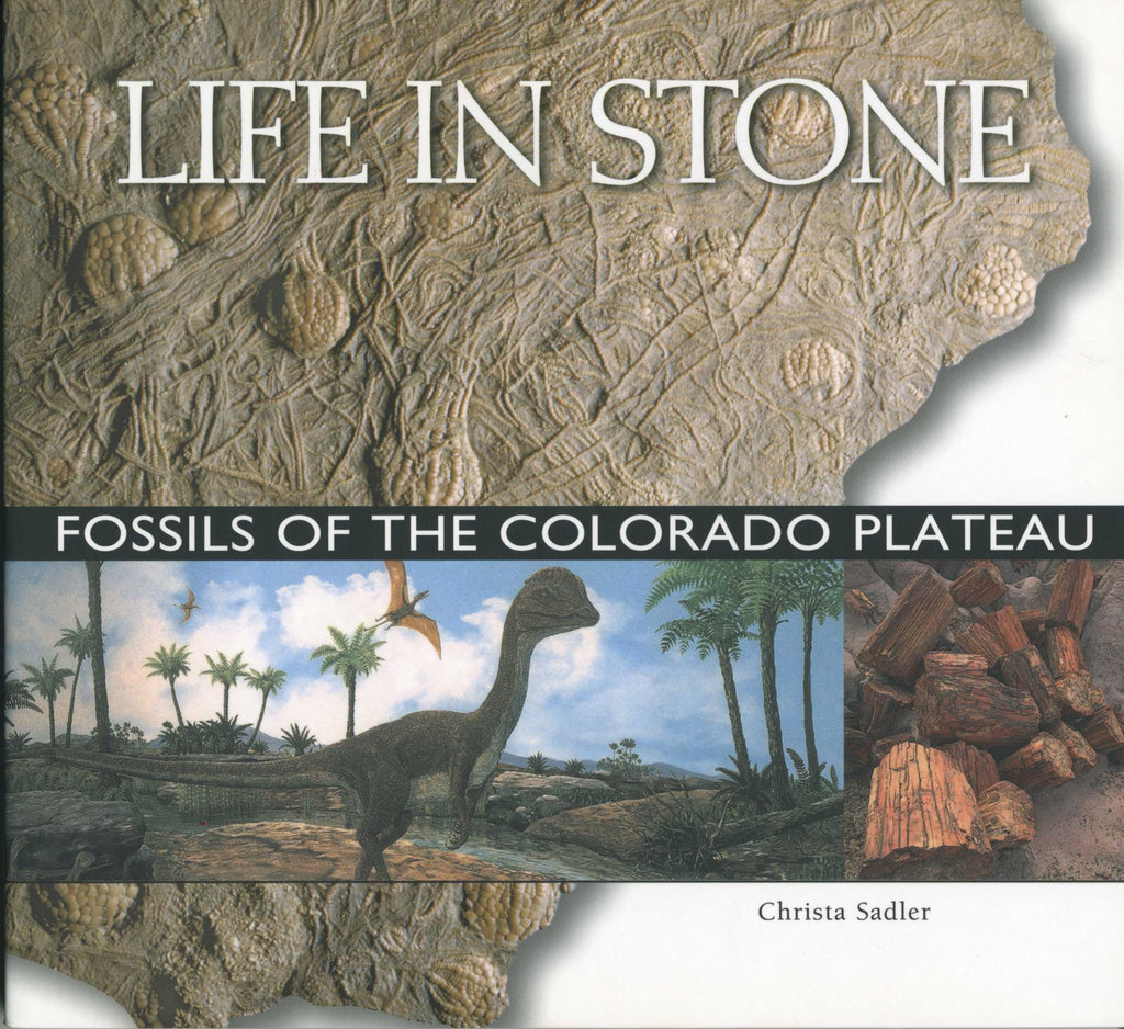 Life in Stone - Fossils of the Colorado Plateau