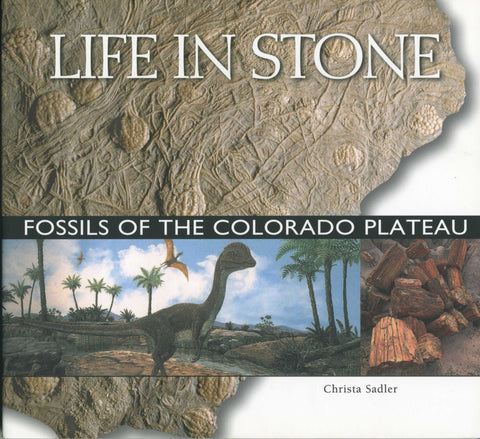 Life in Stone - Fossils of the Colorado Plateau