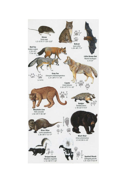 Mac's Pocket Guide: Grand Canyon Birds & Mammals