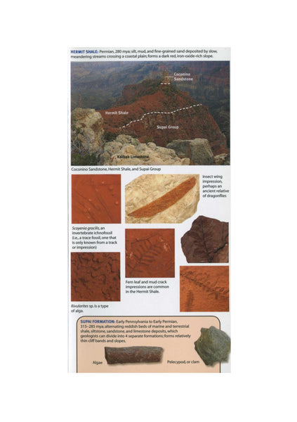 Mac's Pocket Guide: Grand Canyon Geology