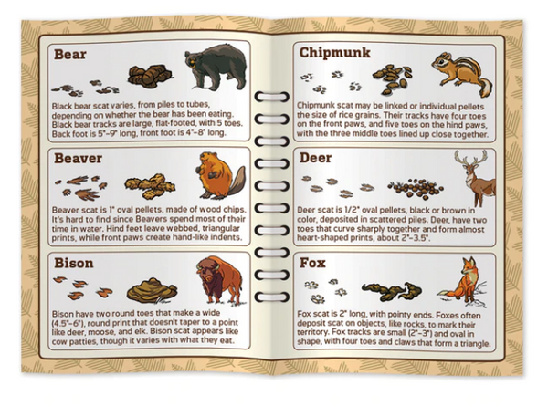 Poop Tracks Card Game