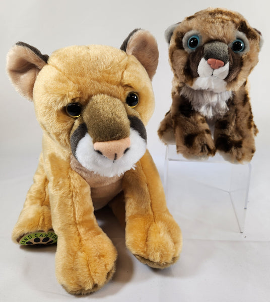 Adopt-a-Lion Program & Plush Combo