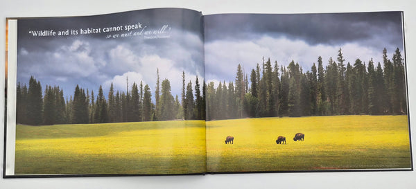 North Rim: Wild and Enduring