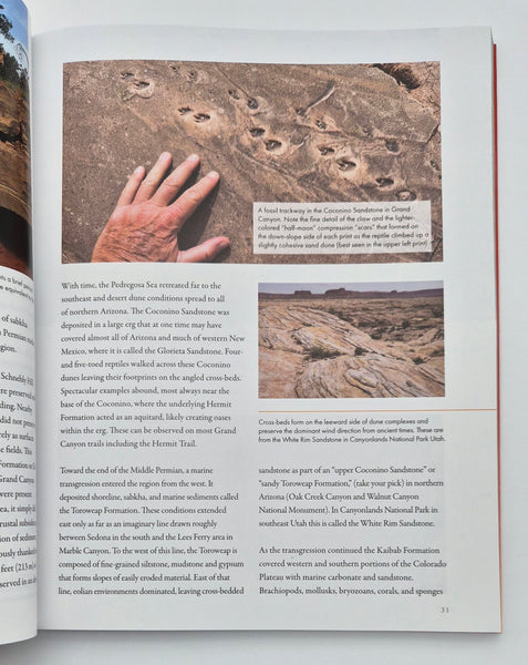 Ancient Landscapes of the Colorado Plateau