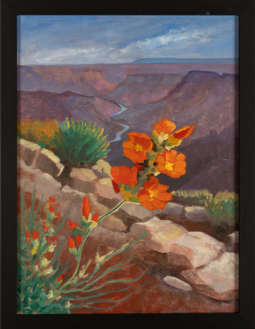 Monica Esposito-Mann, Globe Mallow on the South Rim