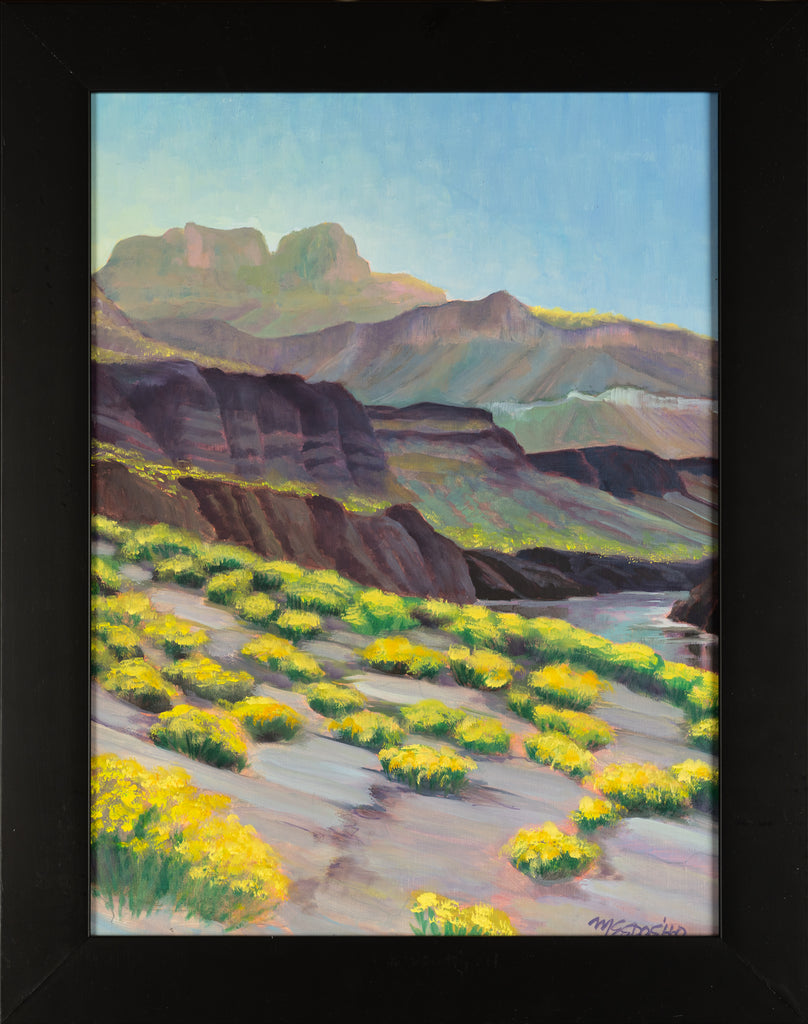 Monica Esposito-Mann, Brittle Brush Super Bloom