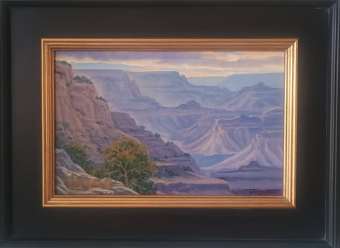Tom Lockhart, Evening Light and Shadows at Yavapai Point
