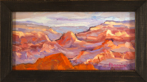 Paula Swain, Grand Canyon Study