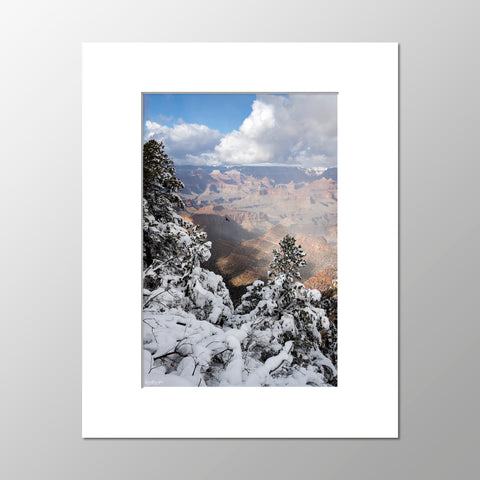 Priscilla Tacheney, Navajo Pt. Winter Flight