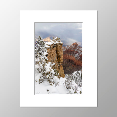 Priscilla Tacheney, South Kaibab Winter View
