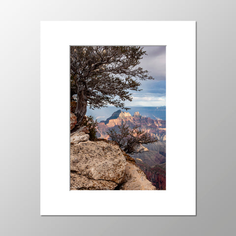 Priscilla Tacheney, North Rim Brahma Temple
