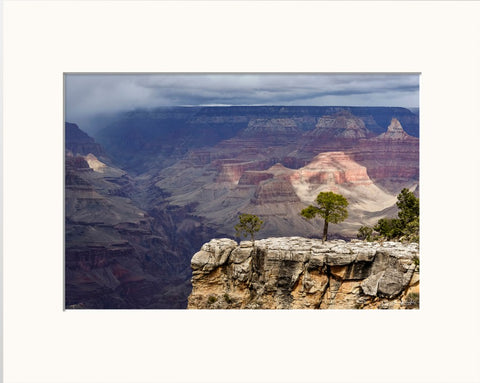 Priscilla Tacheney, Living on the Edge