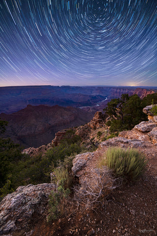 Priscilla Tacheney, Canyon Star Trails