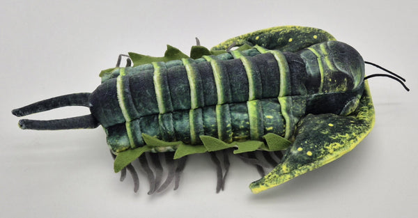 Trilobite Plush