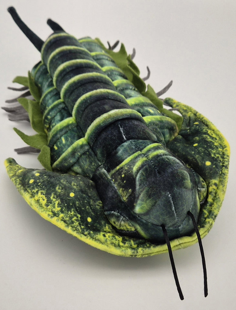 Trilobite Plush