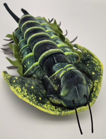 Trilobite Plush