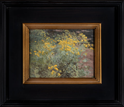 John D. Cogan, Impressions - Chamisas