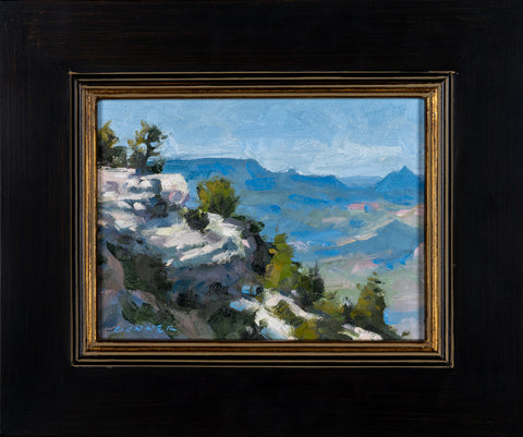 Tom Conner, Canyon Steps