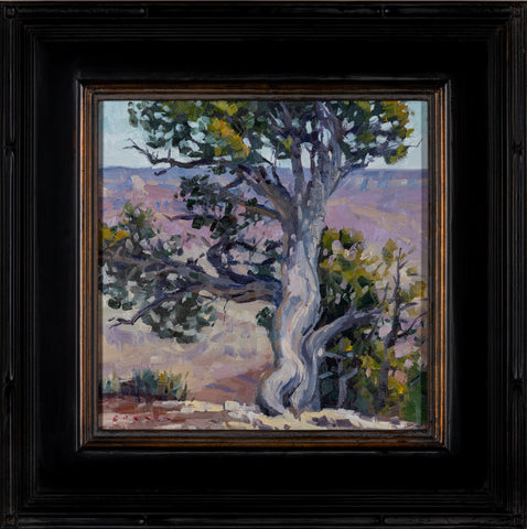Tom Conner, Branching Out