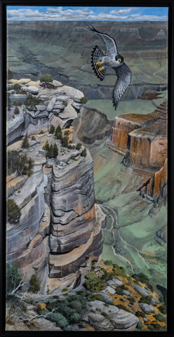 Tim McDavid, Soaring Over Maricopa Point