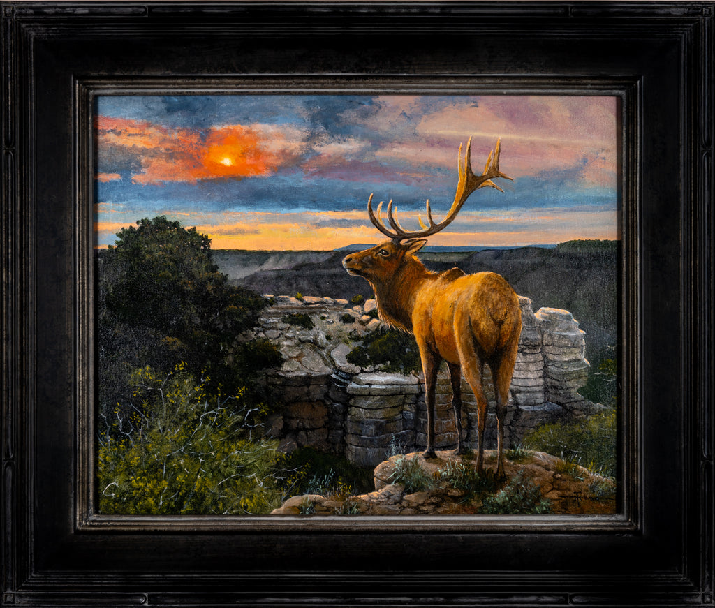 Tim McDavid, Looking North -Grandview Elk
