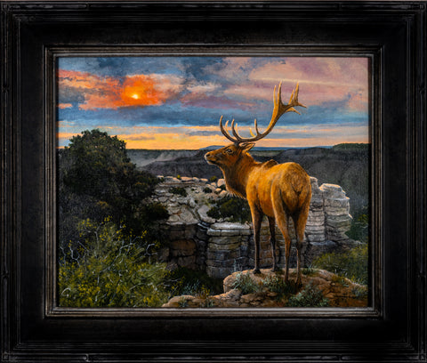 Tim McDavid, Looking North -Grandview Elk