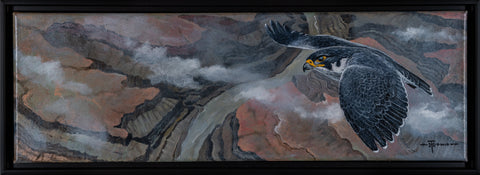 Tim McDavid, Above the Clouds (Peregrine)