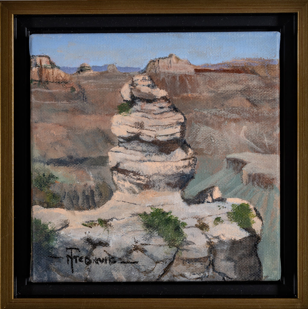 Tim McDavid, Duck on a Rock