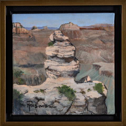 Tim McDavid, Duck on a Rock