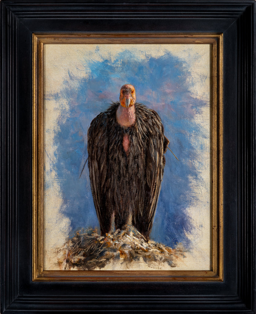 James McGrew, California Condor Portrait