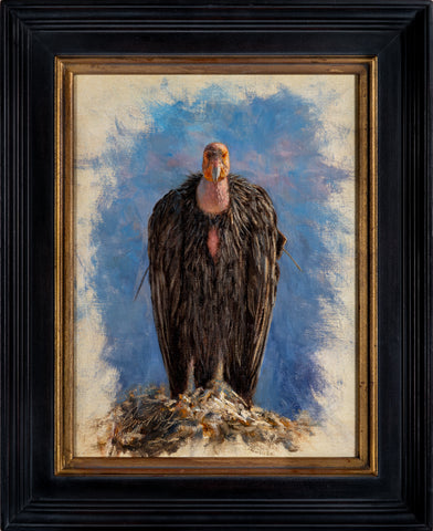 James McGrew, California Condor Portrait